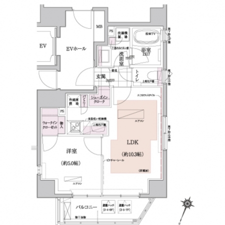 渋谷フィモード