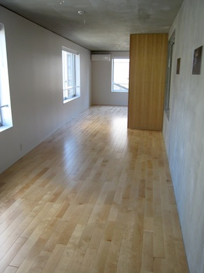 ルース白金 （LUZ白金）