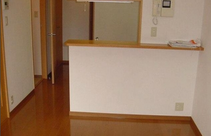 白金K-FLAT (白金ケーフラット) 白金K-FLAT (白金ケーフラット)